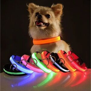 LED Dog Collar USB Charging Saftey Nightlight Flashing 3 Modes Pink Or Green NWT